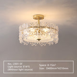 Celling Light Fixtures S2301