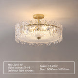 Celling Light Fixtures S2301